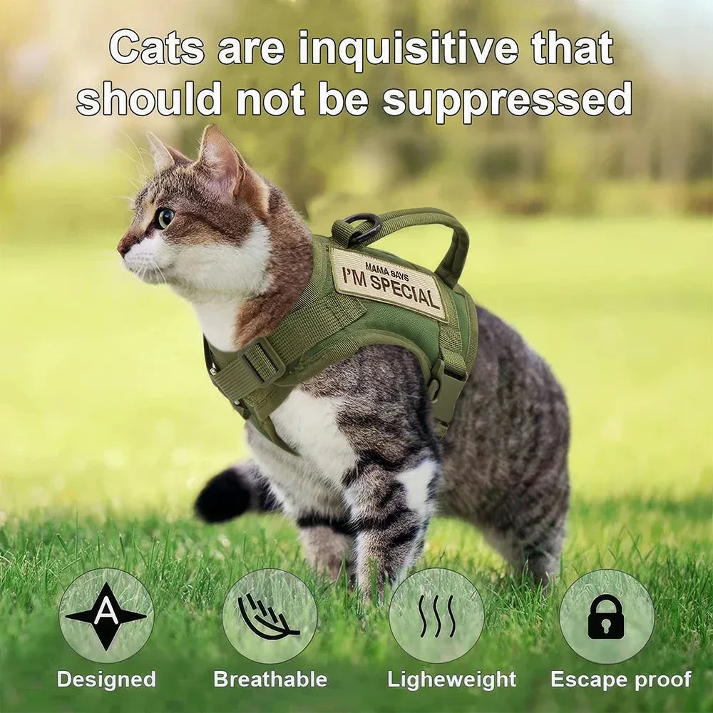 Premium nylon cat harness vest with padded design, water-resistant material, and secure handle for outdoor adventures with pets in the UK