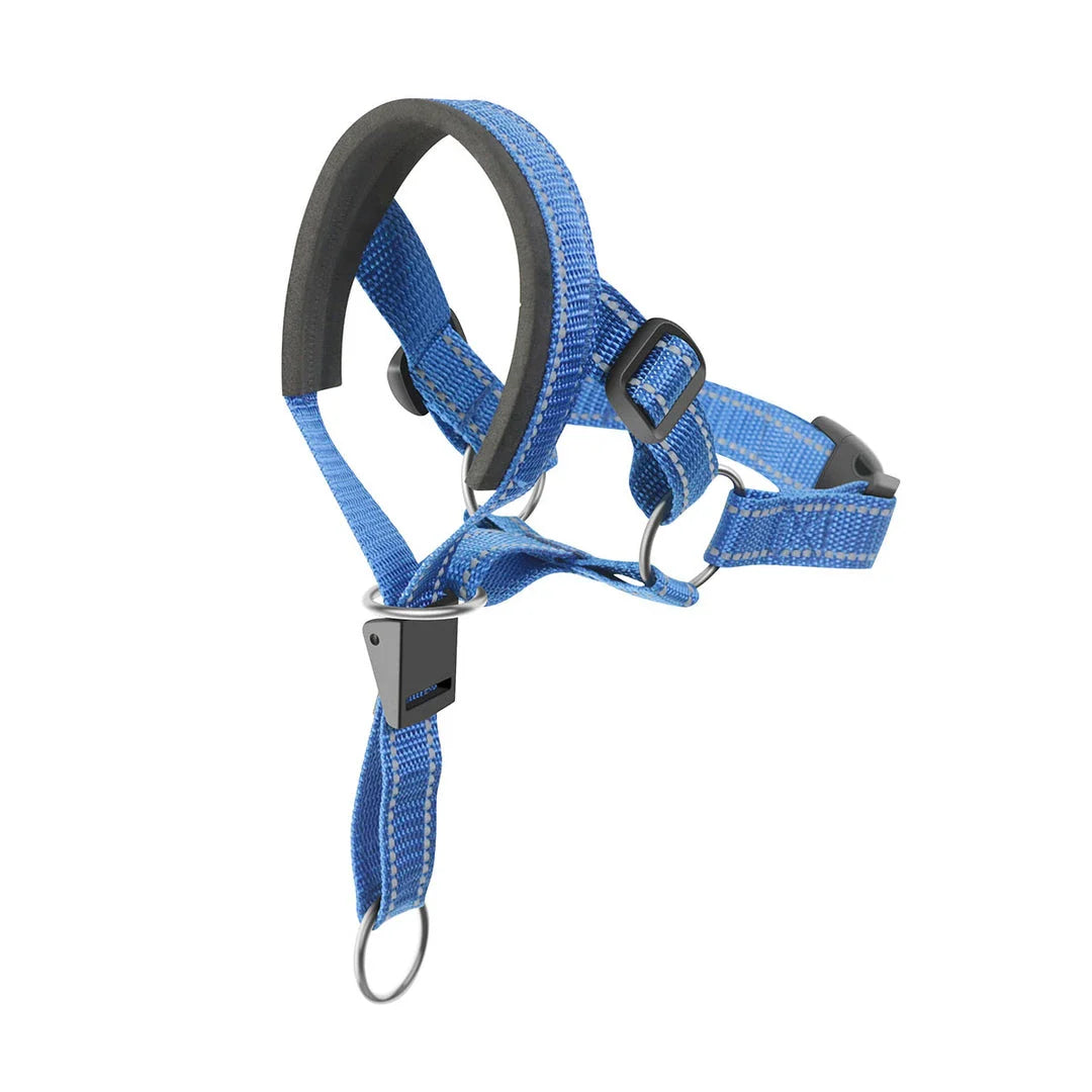 Reflective nylon dog muzzle and leash set in orange colour, designed for safe and controlled walks with your canine companion