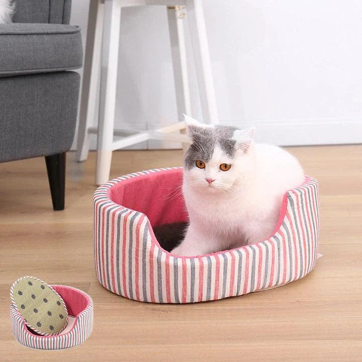 Cosy breathable cat bed with vibrant striped pattern, offering premium comfort and airflow for your feline friend