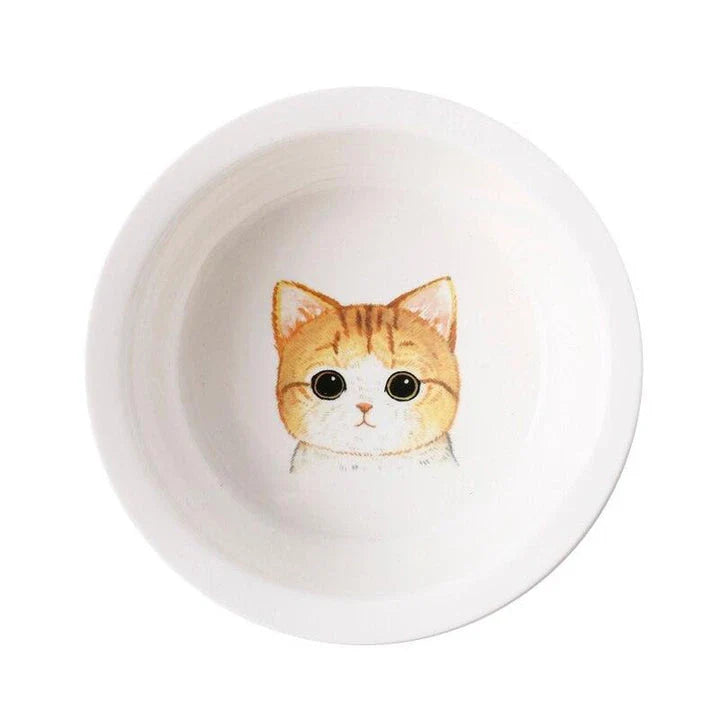 Ceramic Pet Bowl with Tilted Base in various colours, designed for comfort and style