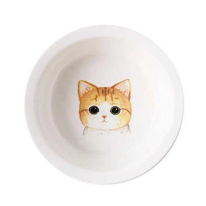 Ceramic Pet Bowl with Tilted Base in various colours, designed for comfort and style