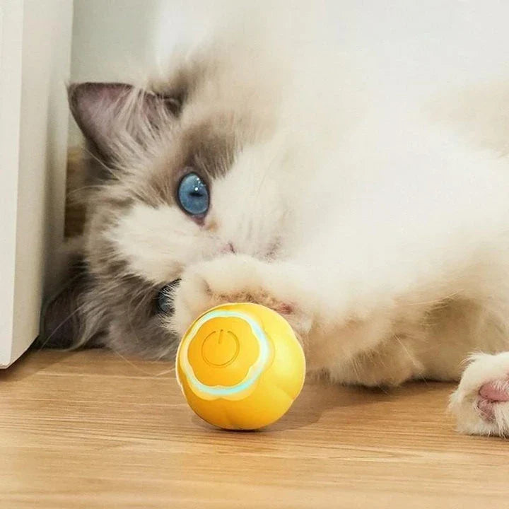 Intelligent LED cat toy ball with dynamic movements and colourful lights to engage and entertain feline companions