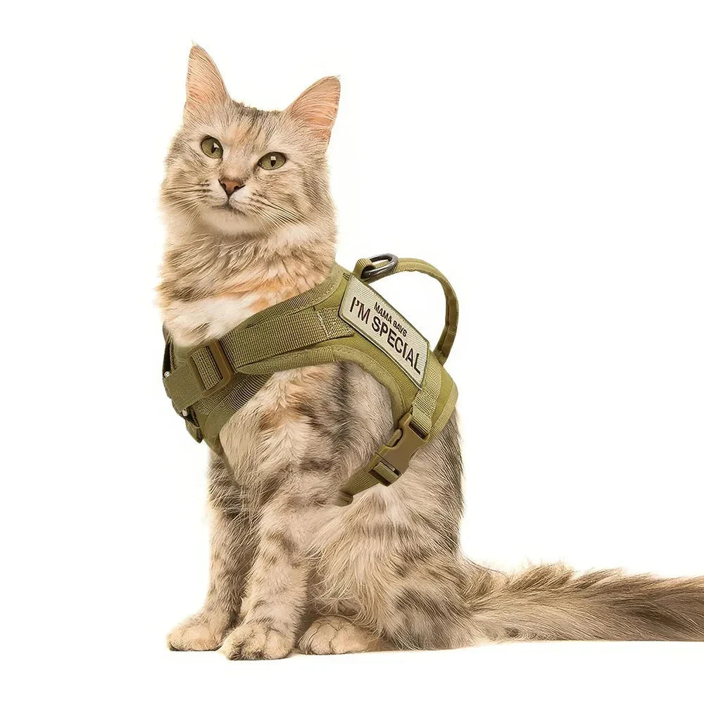 Premium nylon cat harness vest with padded design, water-resistant material, and secure handle for outdoor adventures with pets in the UK