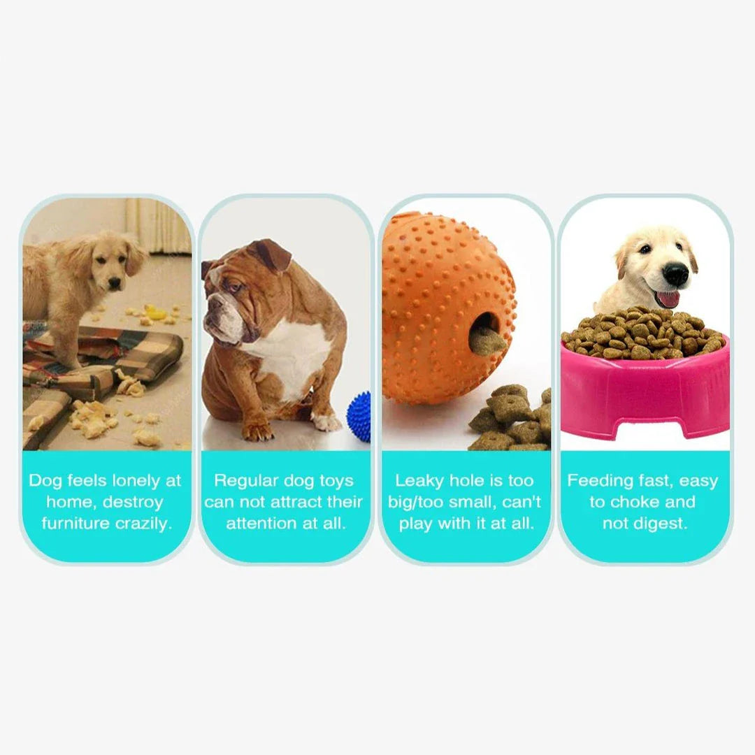 Dog playing with the interactive Dog Planet Treat Toy, a durable and engaging puzzle toy that stimulates a dog's cognitive abilities.