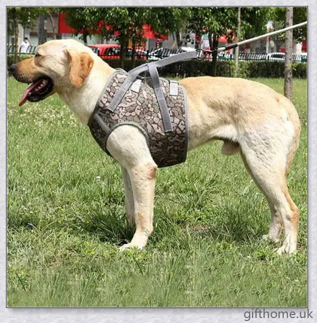 Full Body Supportive Dog Lift Harness with adjustable straps, handle, and leash rings for mobility assistance