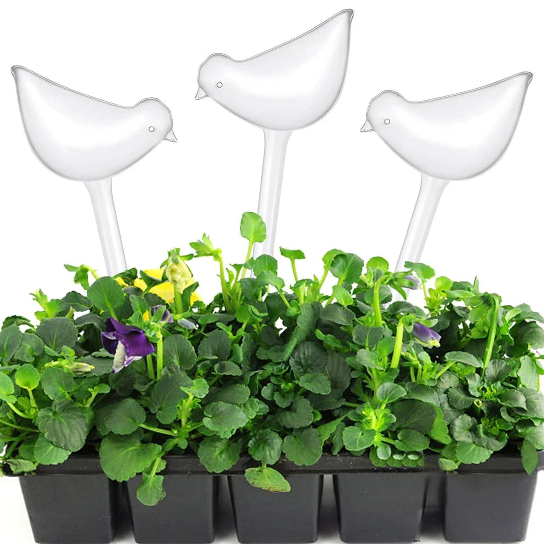 Automatic Self-Watering Globe in the shape of a bird, made of clear plastic for growing and displaying plants indoors or outdoors.