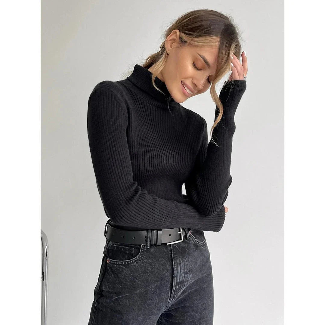 Cosy Autumn & Winter Turtleneck Jumper for Ladies in various colours