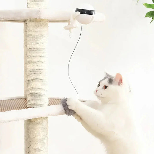 Electric automatic lifting cat ball toy in grey, white, and black colours, designed to captivate and entertain cats with its engaging puzzle features.