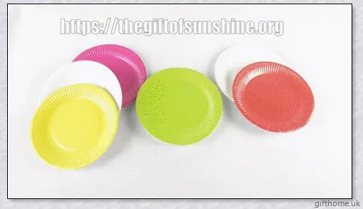 Colourful animal paper plate craft kit with various 3D paper plate animals
