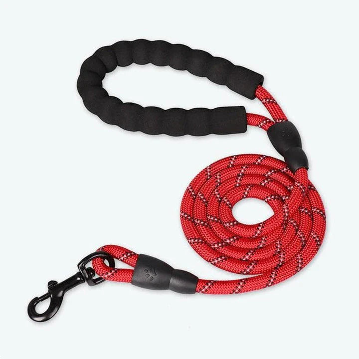 Colourful and durable nylon dog lead in various bright colours, suitable for all dog breeds