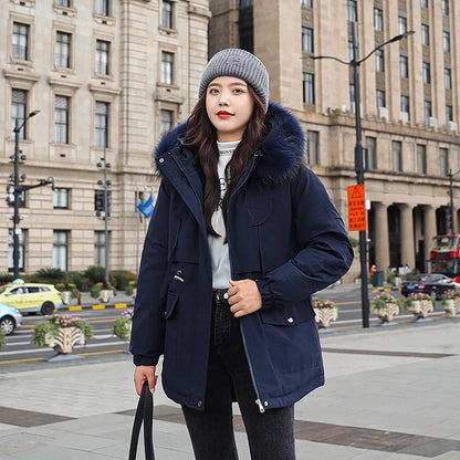 Premium down-filled jacket in black colour, featuring a hooded design and zipper closure for warmth and style.