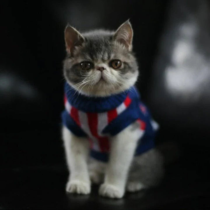Fashionable acrylic cat sweater in a delightful star pattern, designed to keep your feline friend warm and stylish.