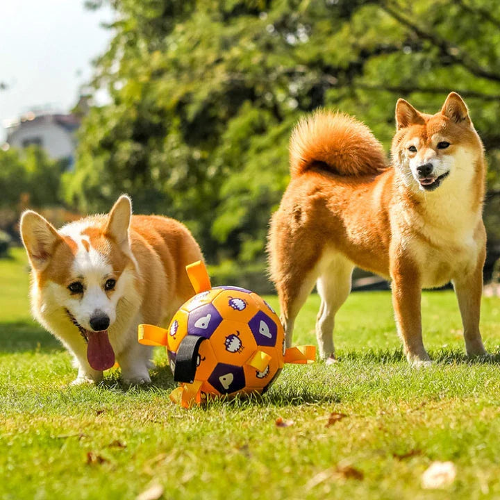 Durable leather interactive dog football toy with grab tabs for outdoor play and training