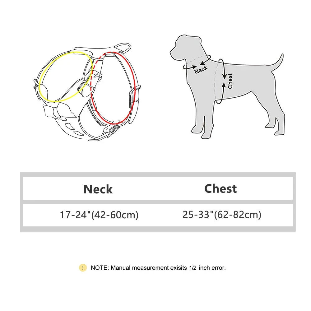 Premium genuine leather dog harness with a charming bowknot accessory, designed for medium to large breed dogs