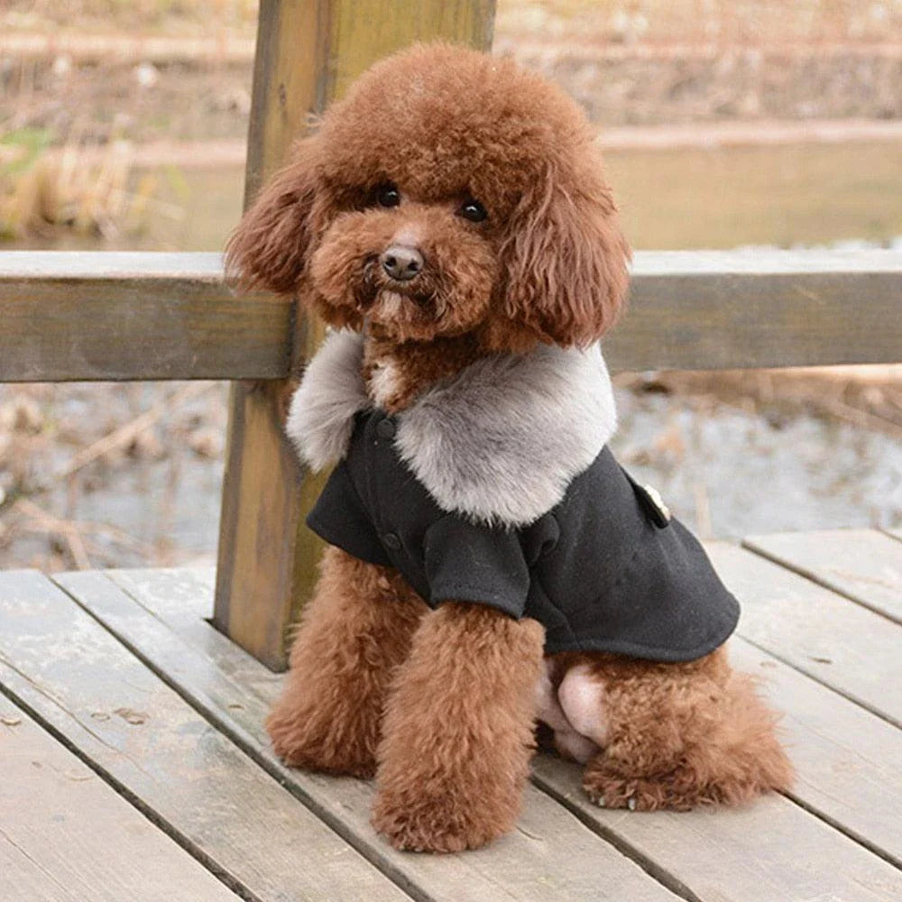 Stylish and cosy woollen dog jacket in black, designed to keep your canine companion warm and comfortable during the colder months.
