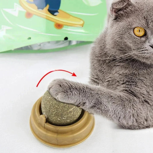Dental Health Catnip Toy Balls in Blue, Pink, and Green colours for cats - Freshens breath, strengthens teeth, and provides interactive play