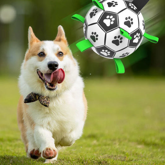 Durable leather interactive dog football toy with grab tabs for outdoor play and training