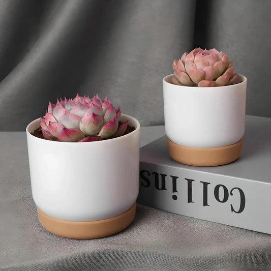 Double-Layer Self-Watering Succulent Plant Pot in White, Suitable for Indoor and Outdoor Decor