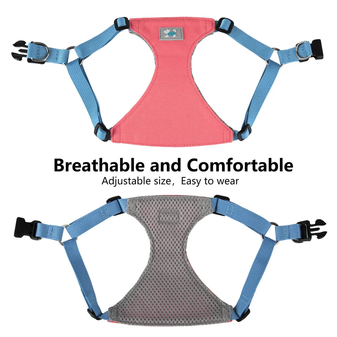 Premium Adjustable Nylon Dog Harness and Leash Set in vibrant yellow colour, designed for comfort and style during walks and outdoor adventures.