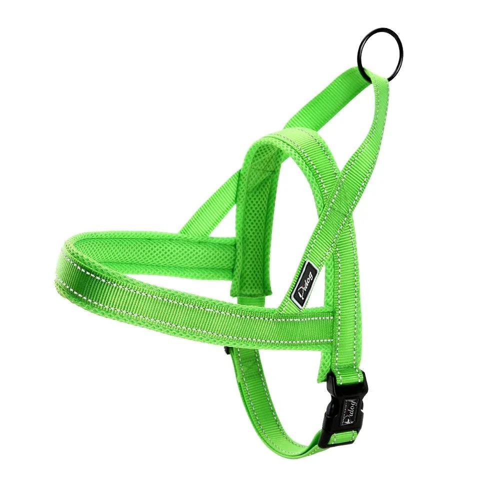 Durable nylon dog harness and leash set in various sizes for comfortable and secure walks with your canine companion
