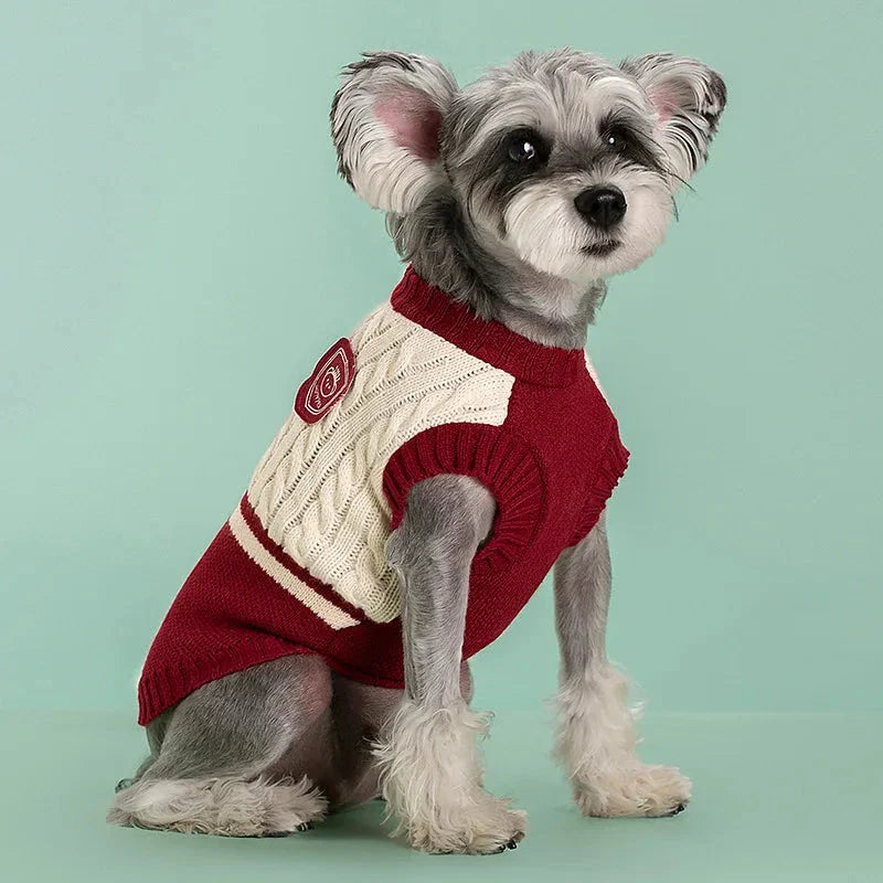 College-style pet dog sweater in green, red, and blue colours, designed for small and medium-sized dogs