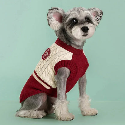 College-style pet dog sweater in green, red, and blue colours, designed for small and medium-sized dogs