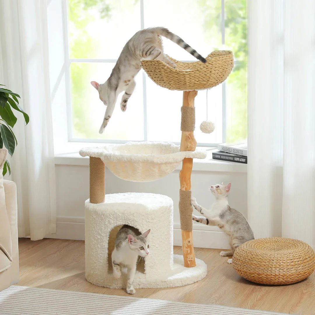 Luxurious modern cat tree with woven basket, hammock, and solid wood scratching post for large indoor cats