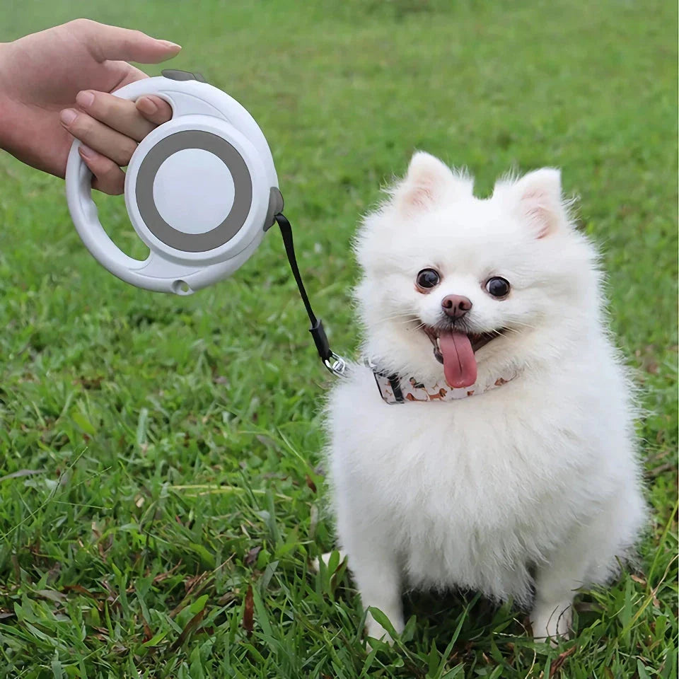 Premium 5m retractable dog leash with anti-slip handle and one-handed brake for small to medium dogs