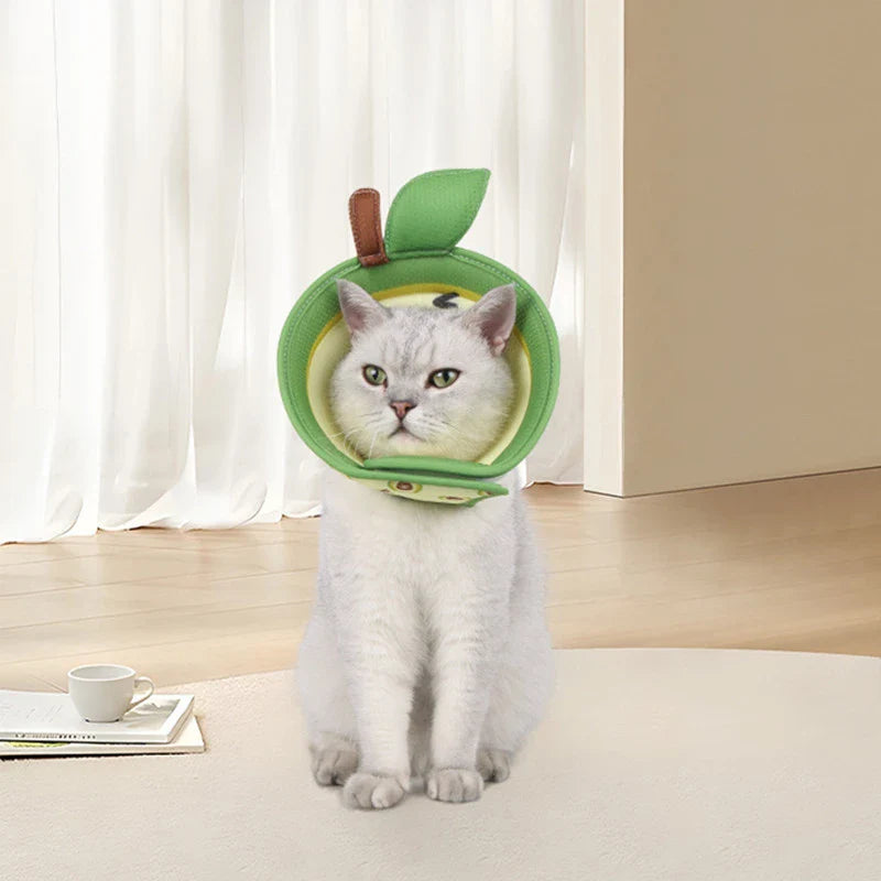 Stylish 3D printed pet collar in avocado, akita, and small yellow duck designs with breathable mesh material