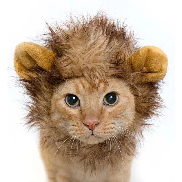 A warm, cosy hat made from premium buckskin material, designed to keep cats comfortable and fashionable
