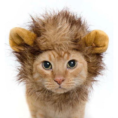A warm, cosy hat made from premium buckskin material, designed to keep cats comfortable and fashionable