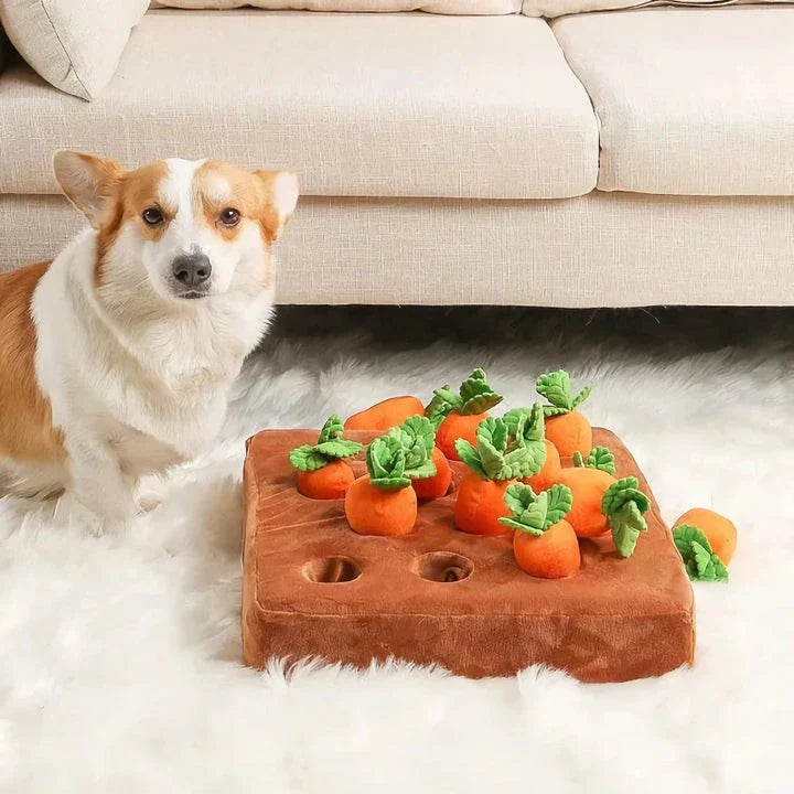 Premium soft plush carrot-shaped dog toy with non-slip backing for engaging, interactive playtime