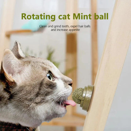 Dental Health Catnip Toy Balls in Blue, Pink, and Green colours for cats - Freshens breath, strengthens teeth, and provides interactive play