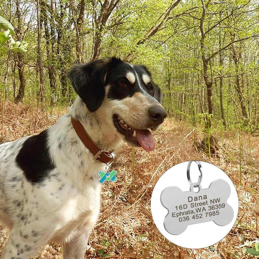 Premium stainless steel dog ID tag with bone-shaped design and engraving option for personalisation