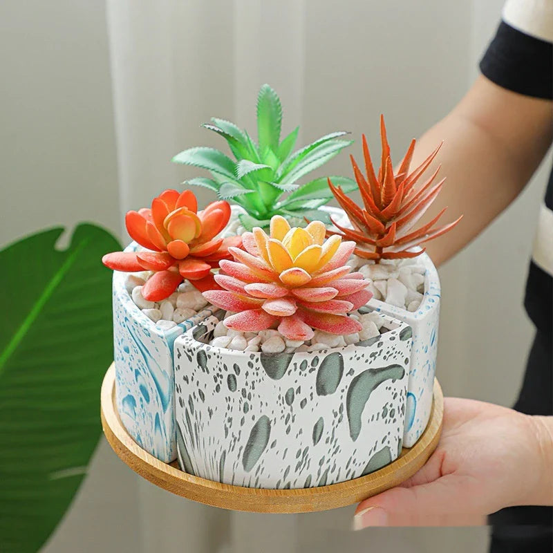 Ceramic succulent planter with bamboo tray, featuring a stylish Nordic-inspired design for indoor greenery