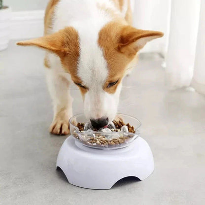 A white 15-degree inclined pet bowl with a non-slip stand, designed to provide a comfortable and healthy mealtime experience for cats and small dogs.