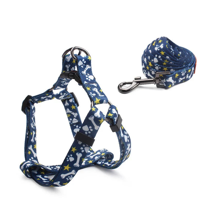 Premium adjustable no-pull dog harness and leash set with stylish pattern design, made with durable materials for comfortable and controlled walkies