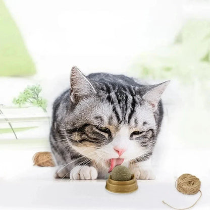 Dental Health Catnip Toy Balls in Blue, Pink, and Green colours for cats - Freshens breath, strengthens teeth, and provides interactive play