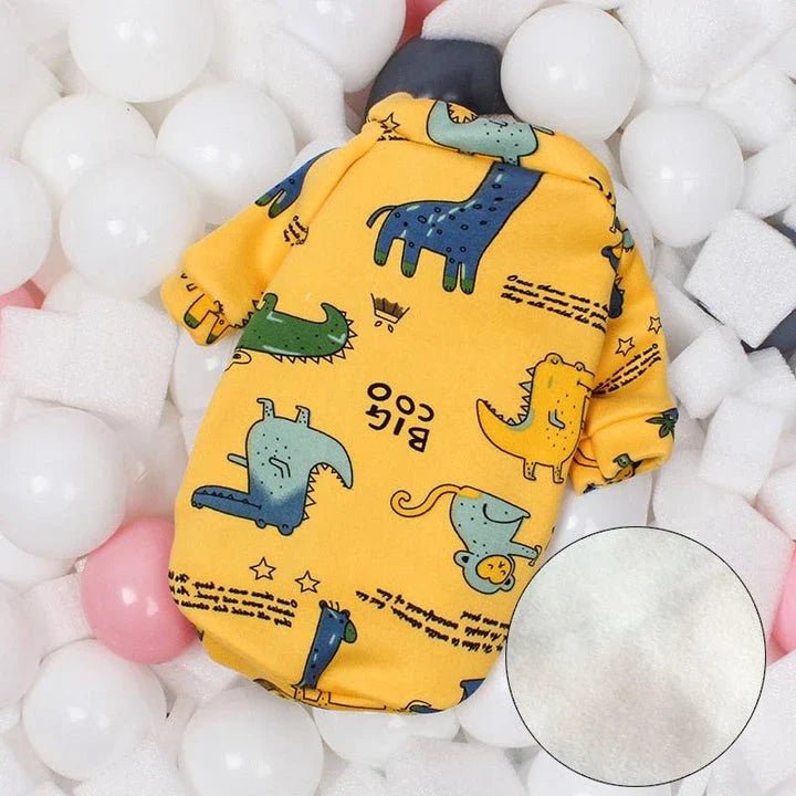 Cat wearing a colourful, printed sweatshirt in a vibrant yellow-bear design