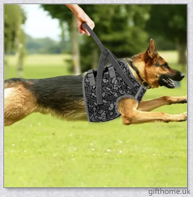 Full Body Supportive Dog Lift Harness with adjustable straps, handle, and leash rings for mobility assistance