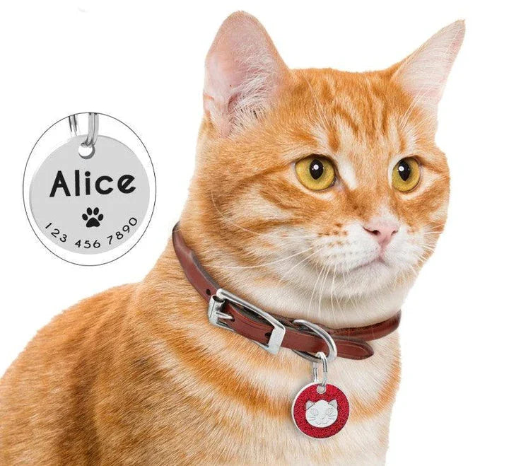 Premium stainless steel ID tag with engraved glitter design and customisable text