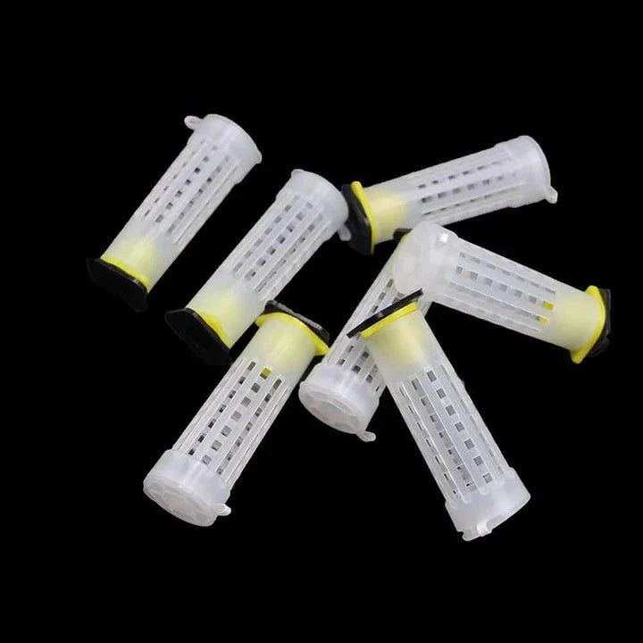 Comprehensive 50-piece queen bee rearing kit with plastic cages and cups for beekeepers in the United Kingdom