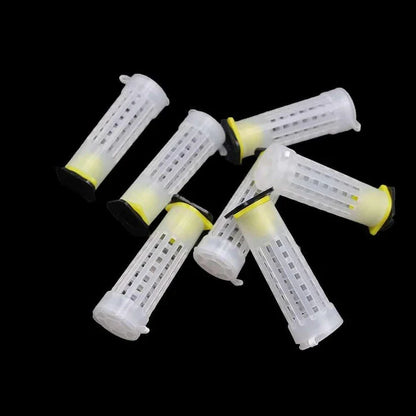 Comprehensive 50-piece queen bee rearing kit with plastic cages and cups for beekeepers in the United Kingdom