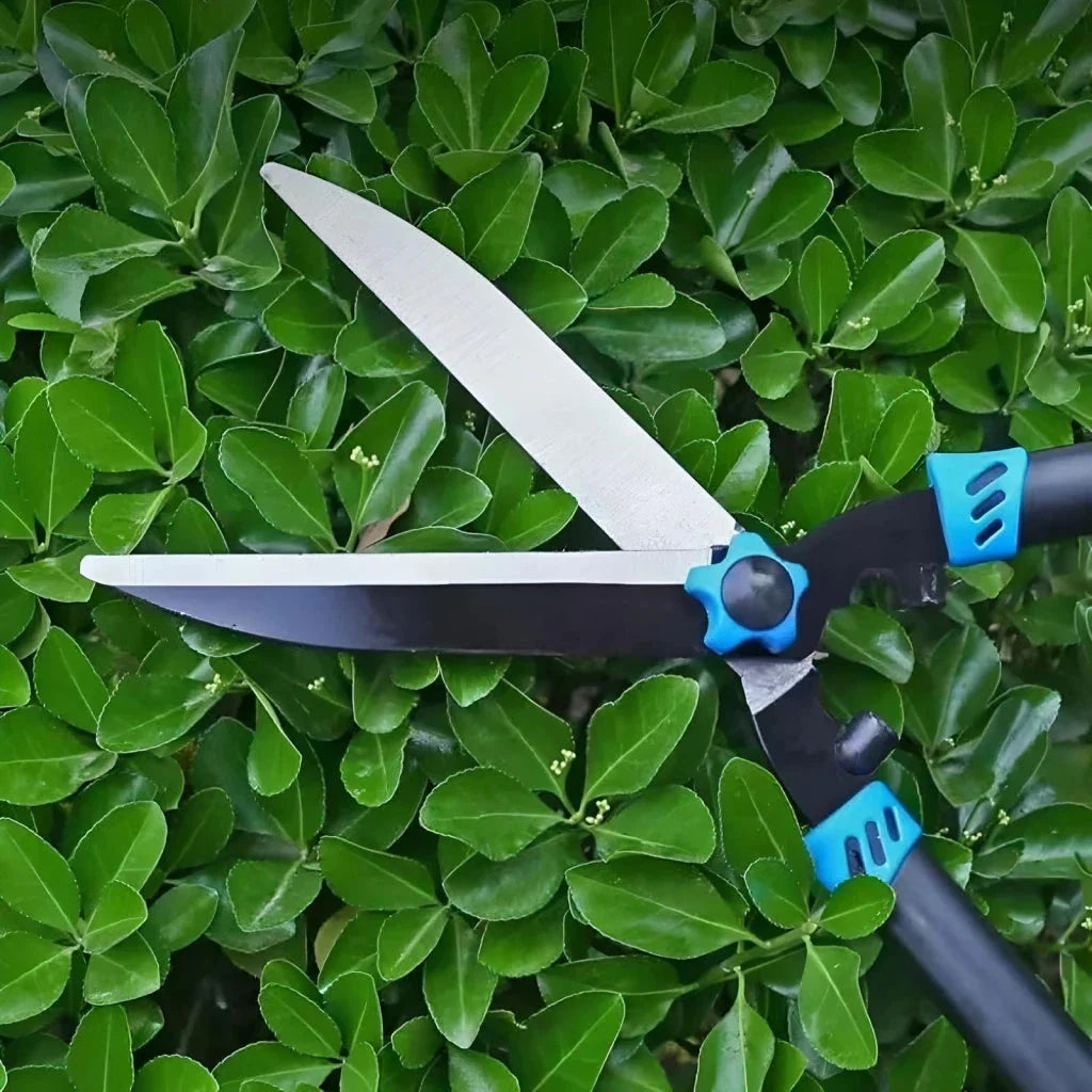 Premium quality hedge shears with sturdy metal construction and ergonomic anti-slip grip for precise, effortless garden pruning
