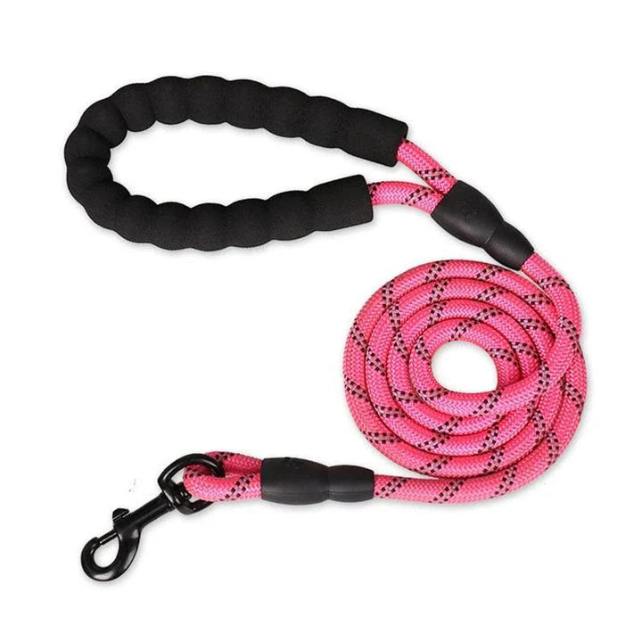 Colourful and durable nylon dog lead in various bright colours, suitable for all dog breeds