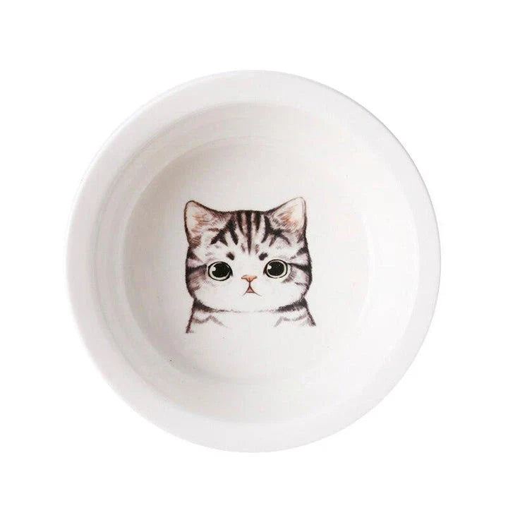 Ceramic Pet Bowl with Tilted Base in various colours, designed for comfort and style