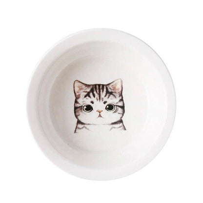 Ceramic Pet Bowl with Tilted Base in various colours, designed for comfort and style