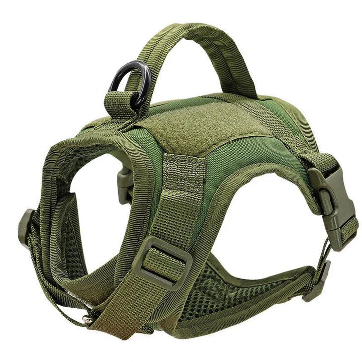 Premium nylon cat harness vest with padded design, water-resistant material, and secure handle for outdoor adventures with pets in the UK