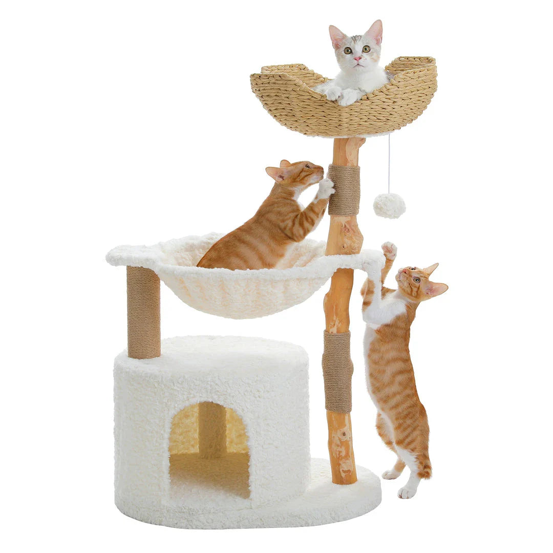 Luxurious modern cat tree with woven basket, hammock, and solid wood scratching post for large indoor cats