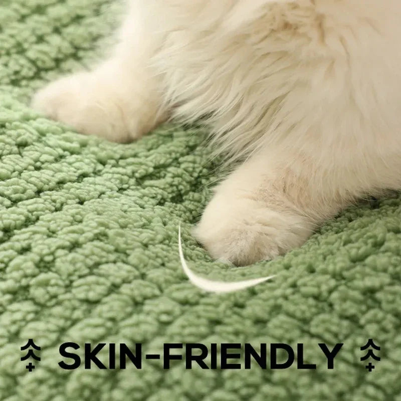 Cosy frog-shaped pet bed made of plush bubble velvet material, providing warmth and comfort for small cats and dogs